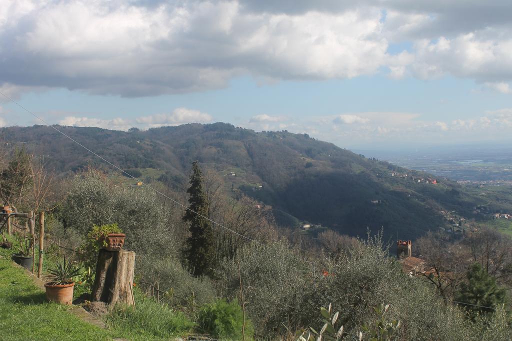 Podere"Sulle Soglie Del Bosco" Appartament And Rooms Pescia Buitenkant foto