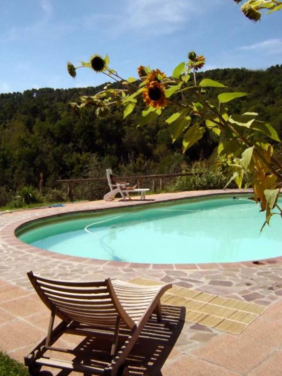 Podere"Sulle Soglie Del Bosco" Appartament And Rooms Pescia Buitenkant foto