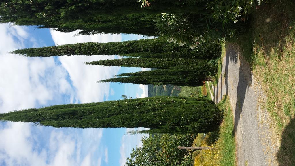 Podere"Sulle Soglie Del Bosco" Appartament And Rooms Pescia Buitenkant foto