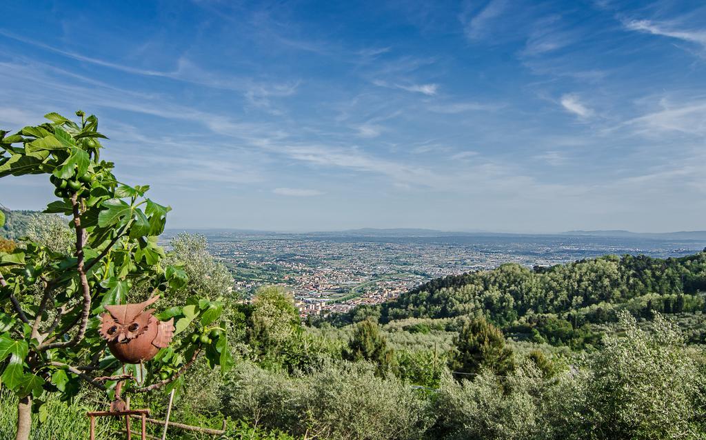 Podere"Sulle Soglie Del Bosco" Appartament And Rooms Pescia Buitenkant foto