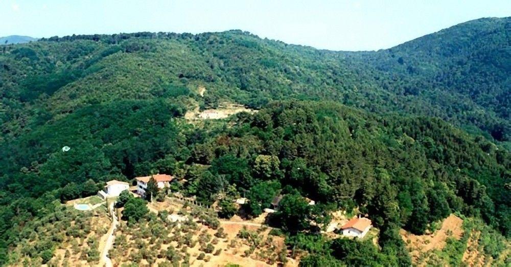 Podere"Sulle Soglie Del Bosco" Appartament And Rooms Pescia Buitenkant foto