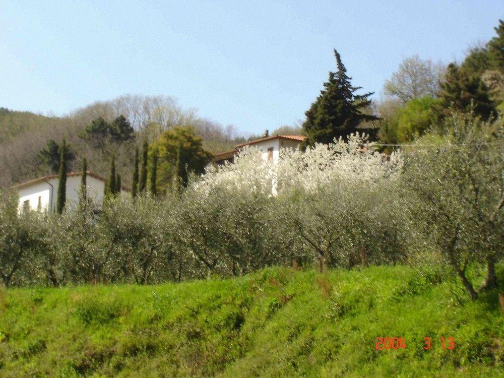 Podere"Sulle Soglie Del Bosco" Appartament And Rooms Pescia Buitenkant foto