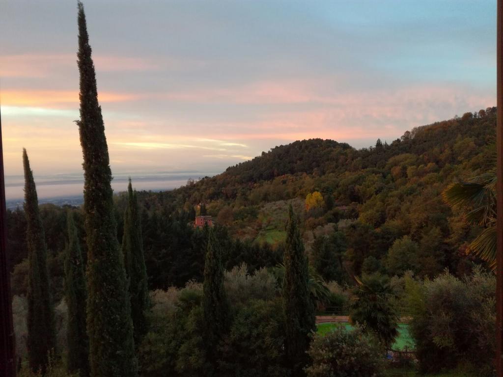 Podere"Sulle Soglie Del Bosco" Appartament And Rooms Pescia Buitenkant foto