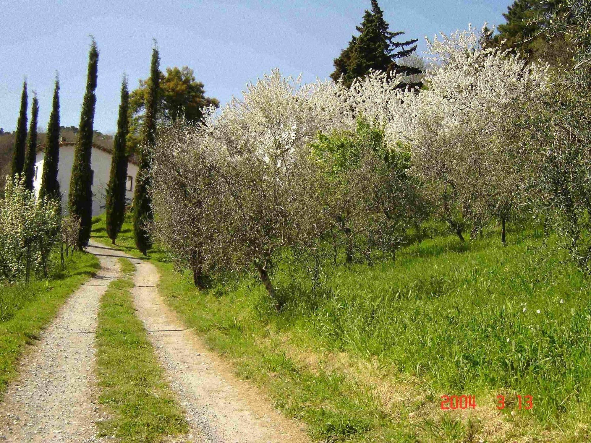 Podere"Sulle Soglie Del Bosco" Appartament And Rooms Pescia Buitenkant foto